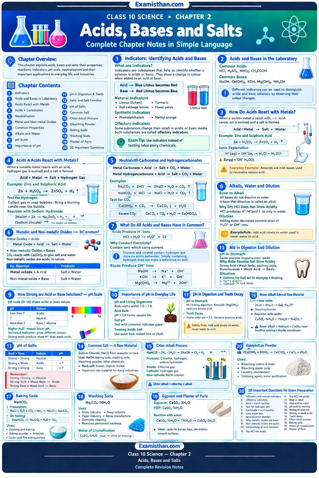 Acids, Bases and Salts